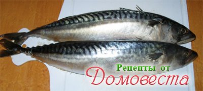 Скумбрія - реальна вартість, оброблення та способи приготування - рецепти від домовеста (є) Скумбрія - реальна вартість, оброблення та способи приготування - рецепти від домовеста
