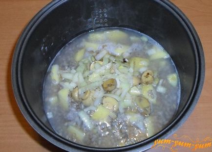 Суп з маринованими грибами рецепт грибного курячого супу (рецепт) Суп з маринованими грибами рецепт грибного курячого супу