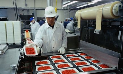 Свій бізнес виробництво напівфабрикатів (виробництво напівфабрикатів виробництво напівфабрикатів з м'яса м'ясне виробництво) Свій бізнес виробництво напівфабрикатів