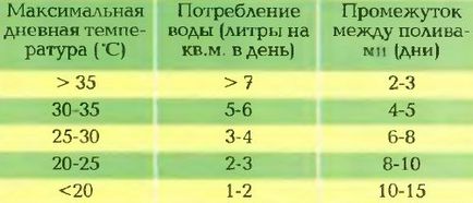 Типові помилки влаштування газону