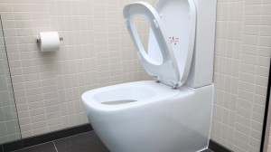 Унітаз з вертикальним зливом основні відмінності, характеристики випуску води, інструкція по монтажу, (слив унітаз вертикальний) Унітаз з вертикальним зливом основні відмінності, характеристики випуску води, інструкція по монтажу,