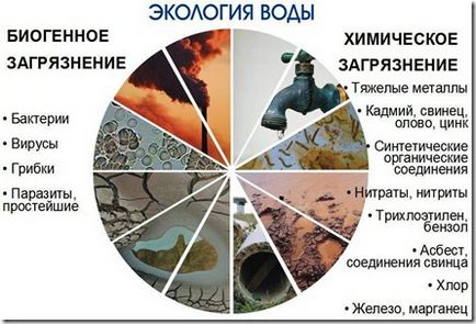 Урок - кейс «чарівне речовина вода» - портал для сучасних жінок (більше Тому необхідно) Урок - кейс «чарівне речовина вода» - портал для сучасних жінок