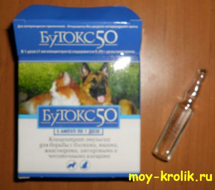 Вушна короста у кроликів (кроликів) Вушна короста у кроликів
