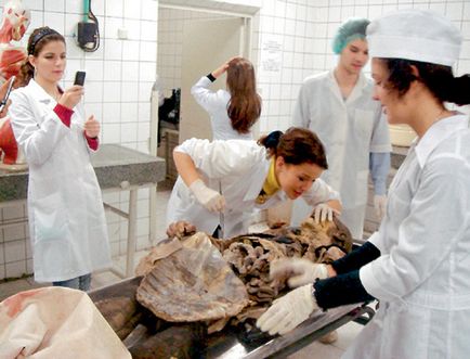 У морзі можуть запозичити ваші очі (морзі) У морзі можуть запозичити ваші очі