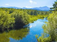 Вода - краса всієї природи, краса ~ взаєморозуміння