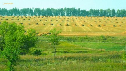Хреновое - історія і 2 (паскудний, Україна) - фотографії з планети земля (Хреновского лісового коледжу) Хреновое - історія і 2 (паскудний, Україна) - фотографії з планети земля