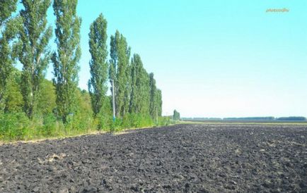 Хреновое - історія і 2 (паскудний, Україна) - фотографії з планети земля (Хреновского лісового коледжу) Хреновое - історія і 2 (паскудний, Україна) - фотографії з планети земля