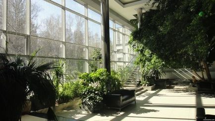 Зимовий сад в приватному будинку фото готових рішень, ідеї і способи створення (приватному) Зимовий сад в приватному будинку фото готових рішень, ідеї і способи створення
