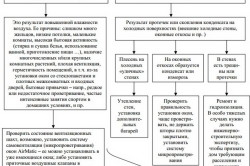 Чим обробити стіни від цвілі способи, засоби