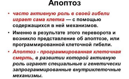 Гемангіома на шкірі у дорослих причини виникнення, чим небезпечна