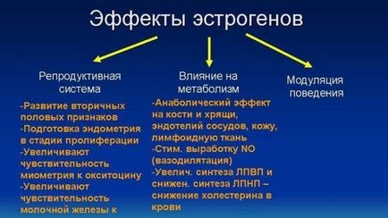 Гемангіома на шкірі у дорослих причини виникнення, чим небезпечна