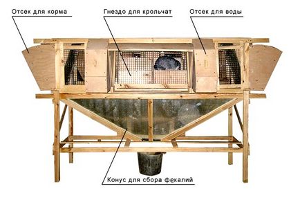 Інструкції з виготовлення мініферм для кроликів