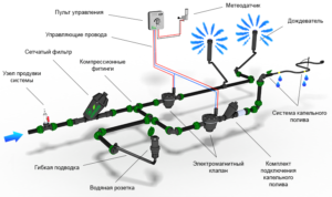 Крапельний полив як працює пристрій, основні складові для установки