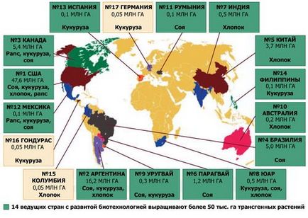 Обережно, гмо! (2 відео)