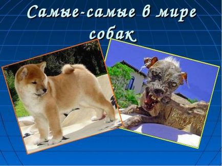 Презентація по екології на тему най-най в світі собак скачати безкоштовно