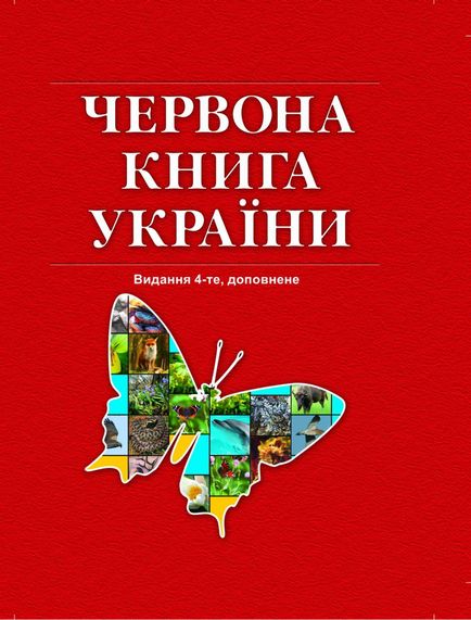 Проблеми екології що повинен знати чоловік про небезпечні екологічних зонах