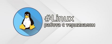 Робота з терміналами linux