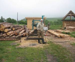 Сибірська чистка відновлює ДНК! - краса і здоровий спосіб життя