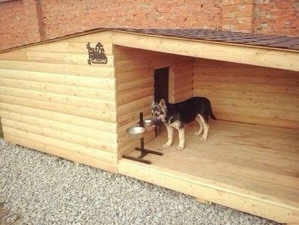 Зміст і догляд - піренейський гірський собака, є цуценята