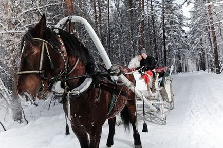 Весільна фотосесія