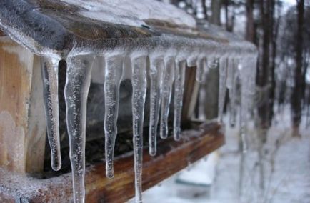 Топ-25 повсякденні речі, які є більш смертоносними, ніж акули