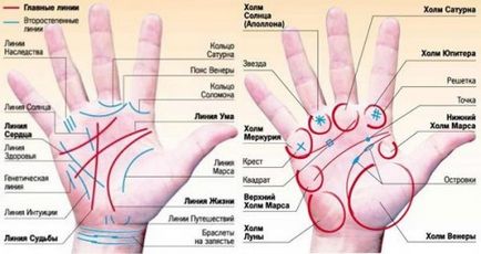 Хіромантія лінія багатства і удачі на руці