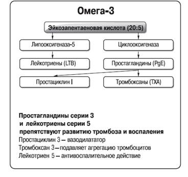 Дбайлива мама - омега 3 при вагітності і вітаміни для вагітних