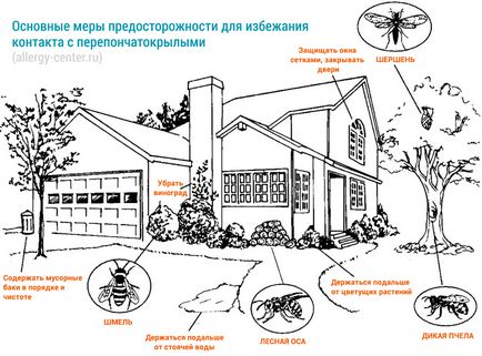 Що робити якщо вкусив шершень, перша допомога при укусі шершня