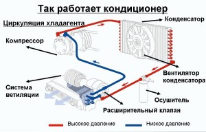 Як пережити спеку і чим небезпечні кондиціонери