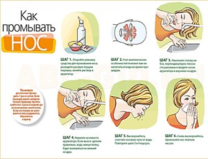 Як проявляється алергія на хутро, ефективні методи лікування захворювання