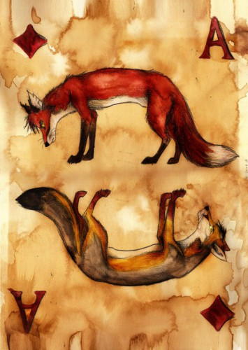 Карти з o-fox (o-fox) Карти з o-fox