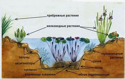 Ландшафтний дизайн