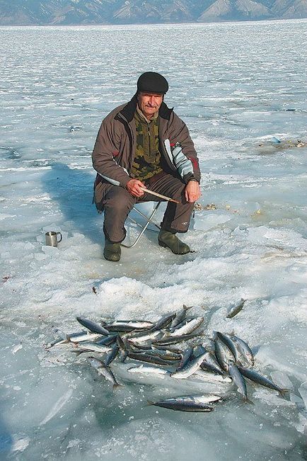 Ловля омуля, способи зимової та літньої лову - все про рибалку!