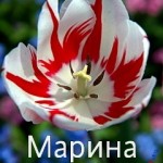 Марина, мариночка, картинки з іменами