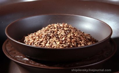Користь кунжуту (яке) користь кунжуту