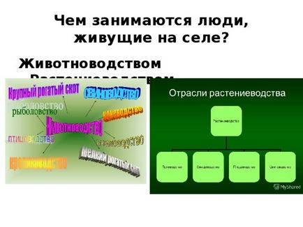 Презентація - огірок - інше, презентації