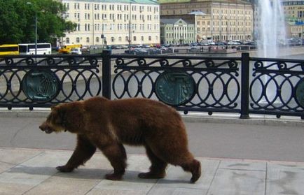 Росія очима іноземців найвпізнаваніші символи, цікаві факти (Наші предки вірили) Росія очима іноземців найвпізнаваніші символи, цікаві факти