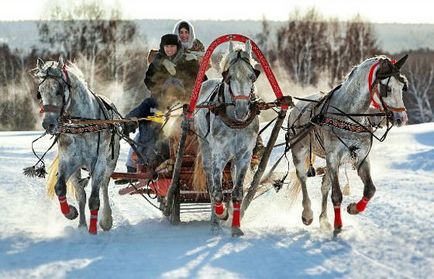 Росія очима іноземців найвпізнаваніші символи, цікаві факти