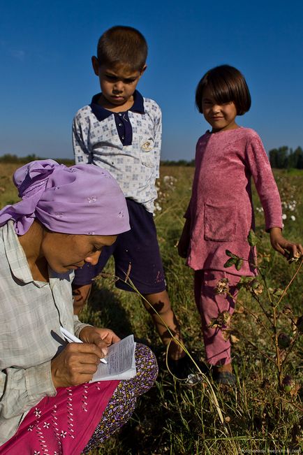 Збір бавовни в Узбекистані - новини в фотографіях