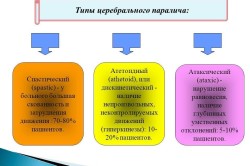 Симптоми ДЦП у новонароджених