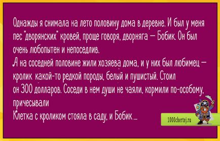 Смішна історія про собаку і кролика