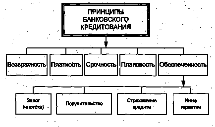 Види споживчих кредитів - особливості та класифікація