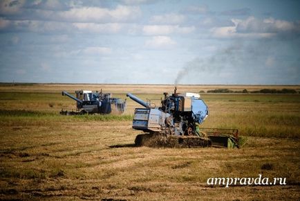 Якщо соя в воді аграріям розповіли, як врятувати урожай від перезволоження