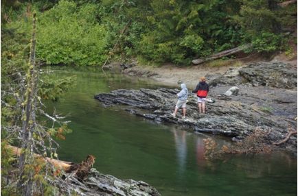 Ловля на доріжку, ловля в прісній воді, рибалка в Україні