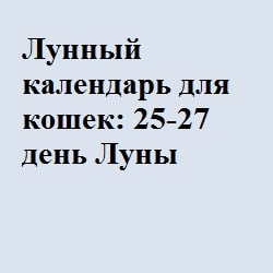 Місячний календар для кішок і котів - все про котів і кішок з любов'ю