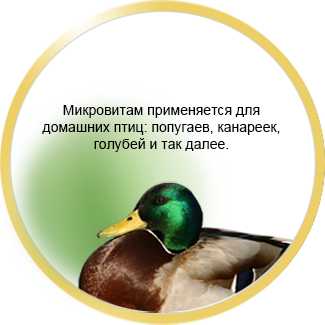 Мікровітам - комплекс активованих амінокислот для тварин