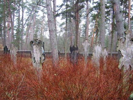 Неринга, литва - відпочинок, погода, відгуки туристів, фотографії