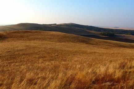 Загальний вододіл висота височини