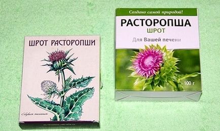 Розторопша - лікувальні властивості, застосування для лікування і протипоказання