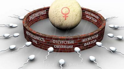 Узі жовчного міхура в москві - я здорова (узі жовчного міхура) Узі жовчного міхура в москві - я здорова